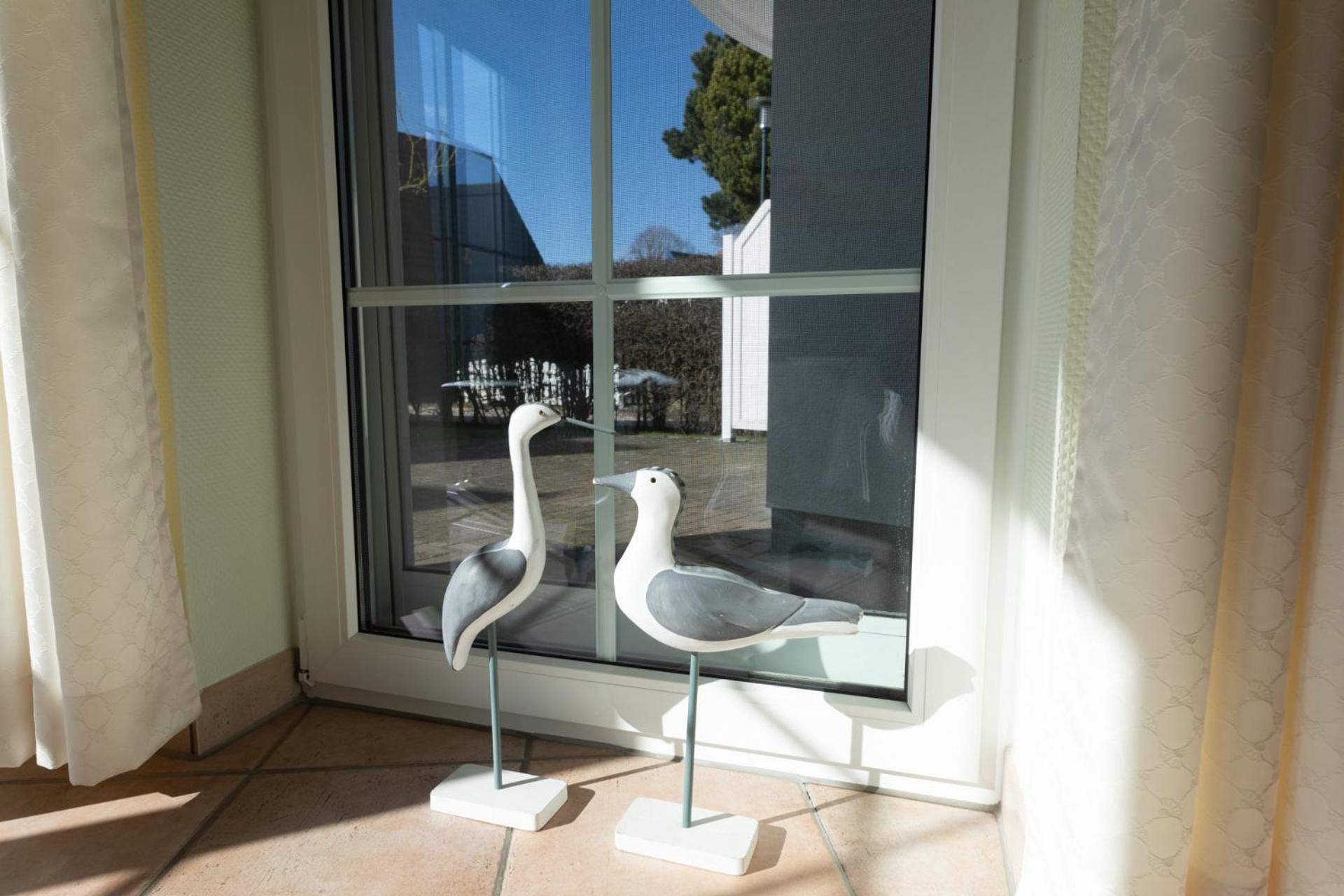 Apartament Eden 02 Zingst Zewnętrze zdjęcie